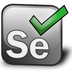 selenium training in chennai