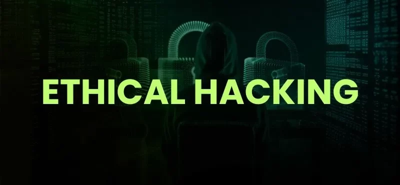 Top Skills Every Ethical Hacker Should Have